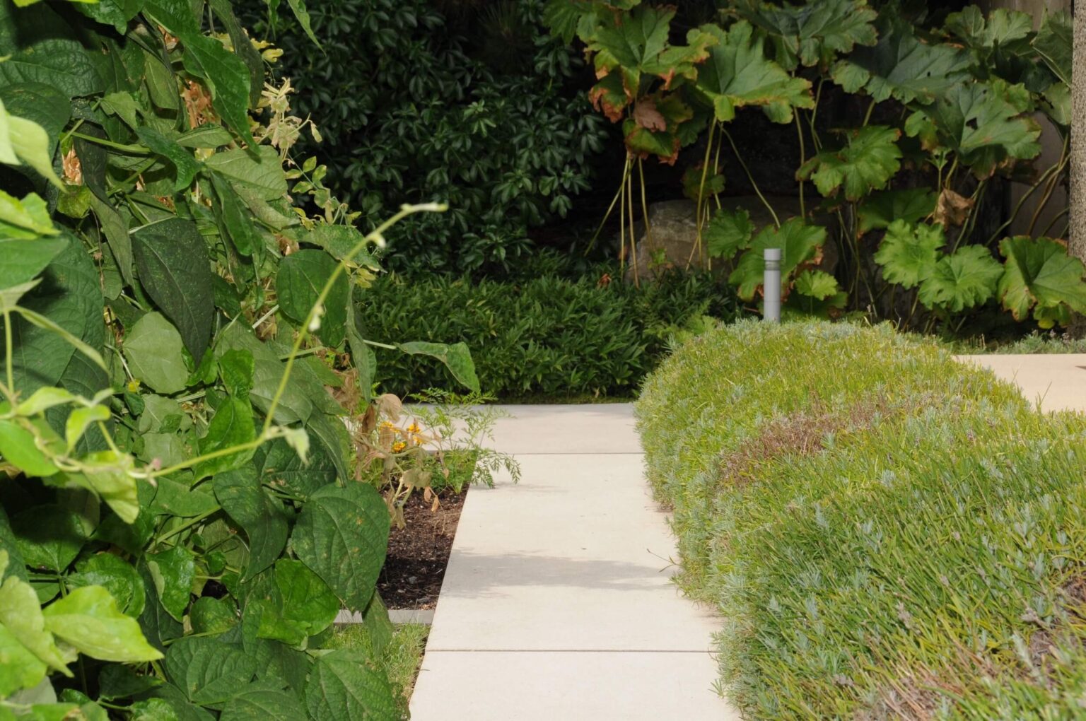 High end landscape construction by Fossil Landscape Construction in Vancouver BC featuring refined outdoor spaces, detailed craftsmanship and timeless design.