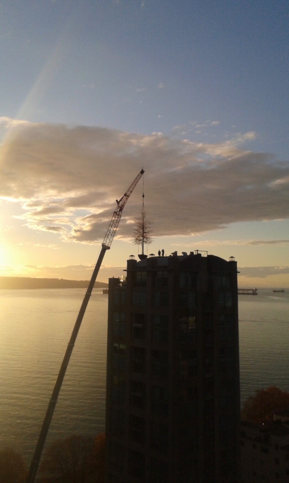 High end landscape construction by Fossil Landscape Construction in Vancouver BC featuring refined outdoor spaces, detailed craftsmanship and timeless design.