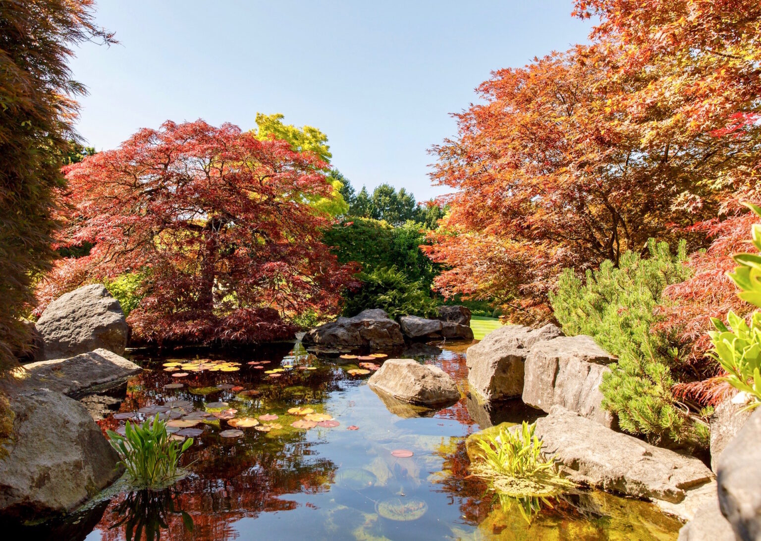 High end landscape construction by Fossil Landscape Construction in Vancouver BC featuring refined outdoor spaces, detailed craftsmanship and timeless design.