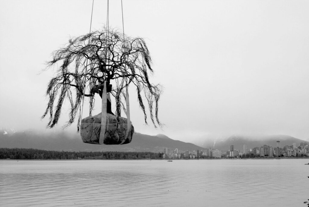 High end landscape construction by Fossil Landscape Construction in Vancouver BC featuring refined outdoor spaces, detailed craftsmanship and timeless design.