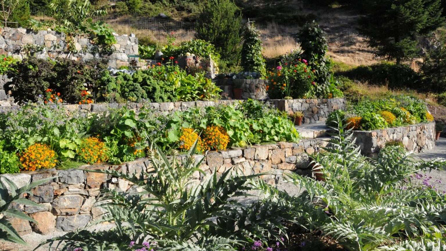 High end landscape construction by Fossil Landscape Construction in Vancouver BC featuring refined outdoor spaces, detailed craftsmanship and timeless design.