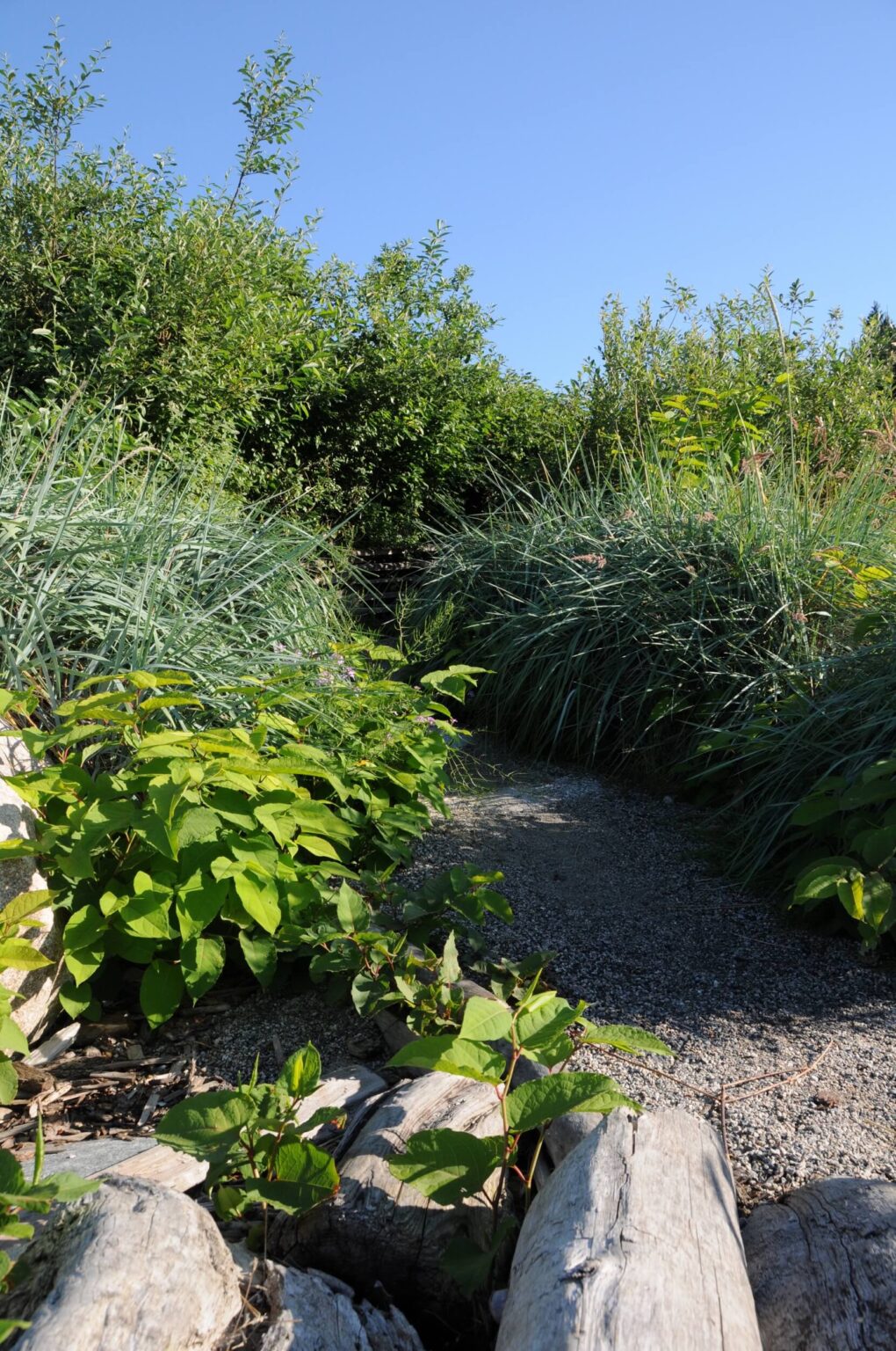 High end landscape construction by Fossil Landscape Construction in Vancouver BC featuring refined outdoor spaces, detailed craftsmanship and timeless design.