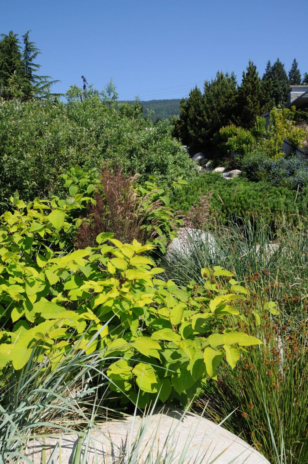 High end landscape construction by Fossil Landscape Construction in Vancouver BC featuring refined outdoor spaces, detailed craftsmanship and timeless design.