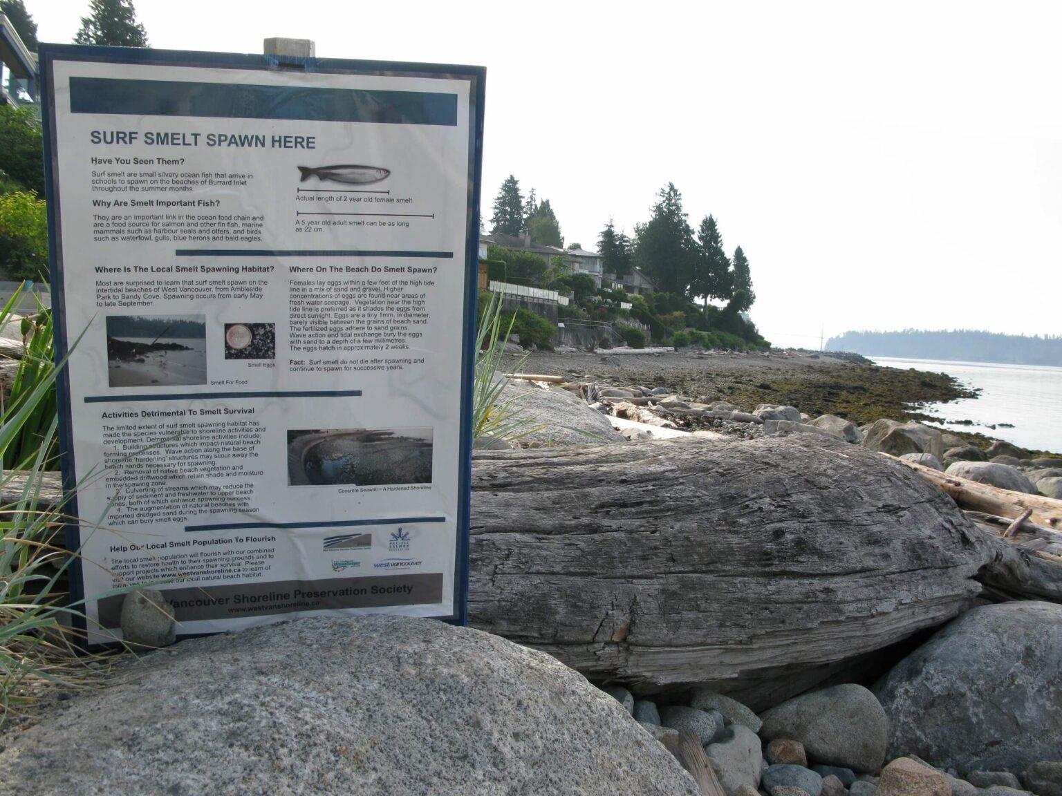 High end landscape construction by Fossil Landscape Construction in Vancouver BC featuring refined outdoor spaces, detailed craftsmanship and timeless design.