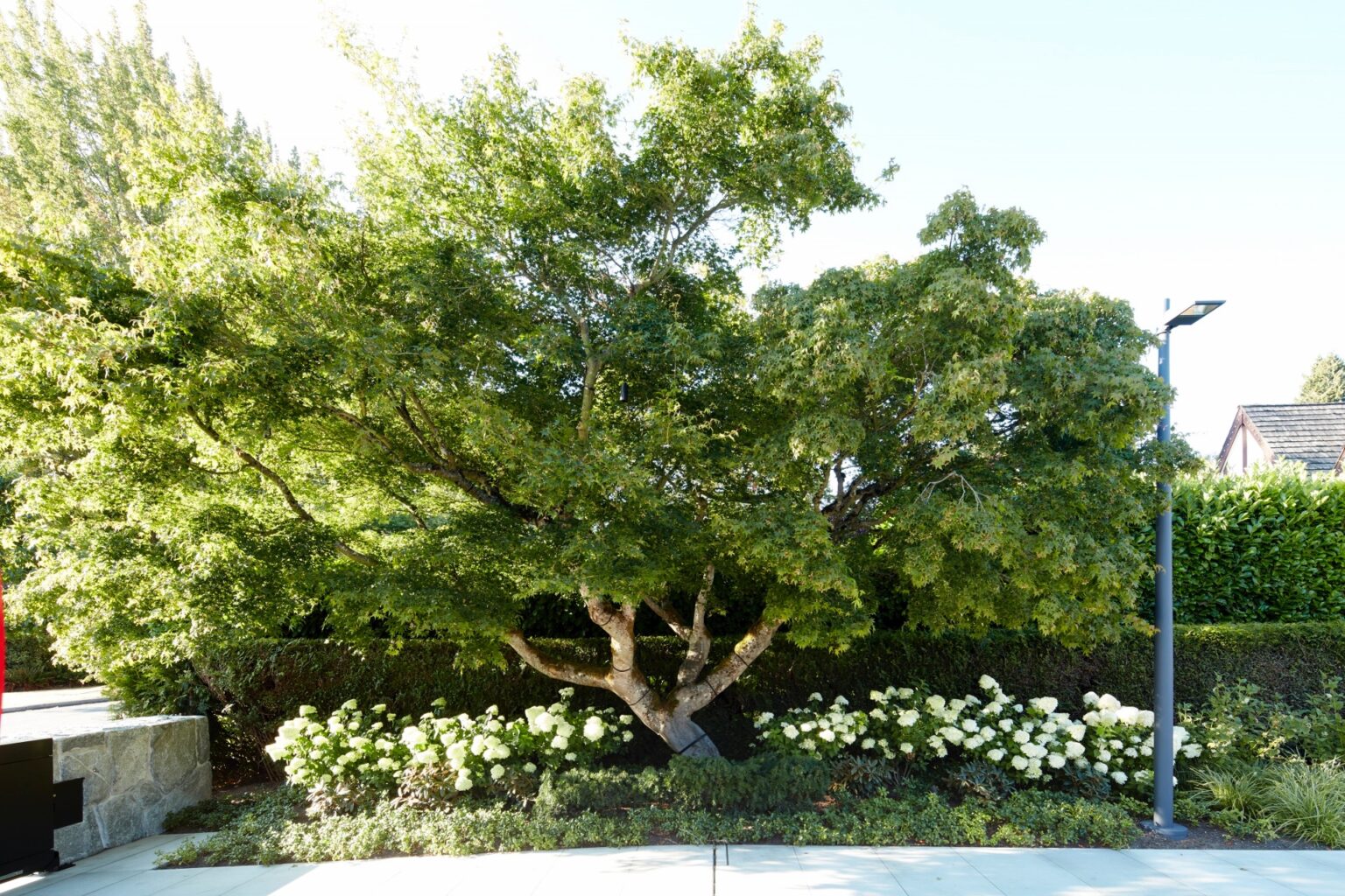 High end landscape construction by Fossil Landscape Construction in Vancouver BC featuring refined outdoor spaces, detailed craftsmanship and timeless design.